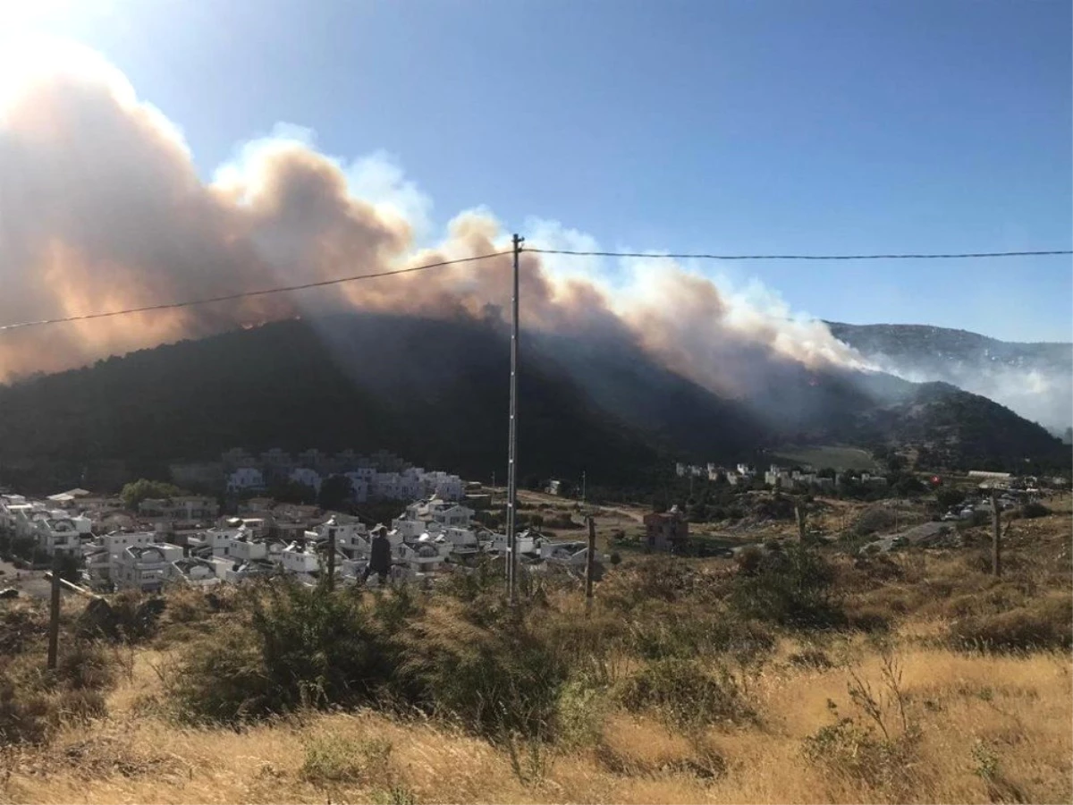 İzmir\'deki Çandarlı bölgesinde, yazlık sitelerin yanında orman yangını çıktı.
