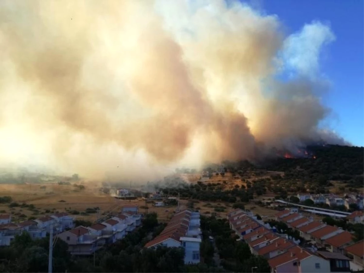 İzmir\'deki orman yangını kontrol altında