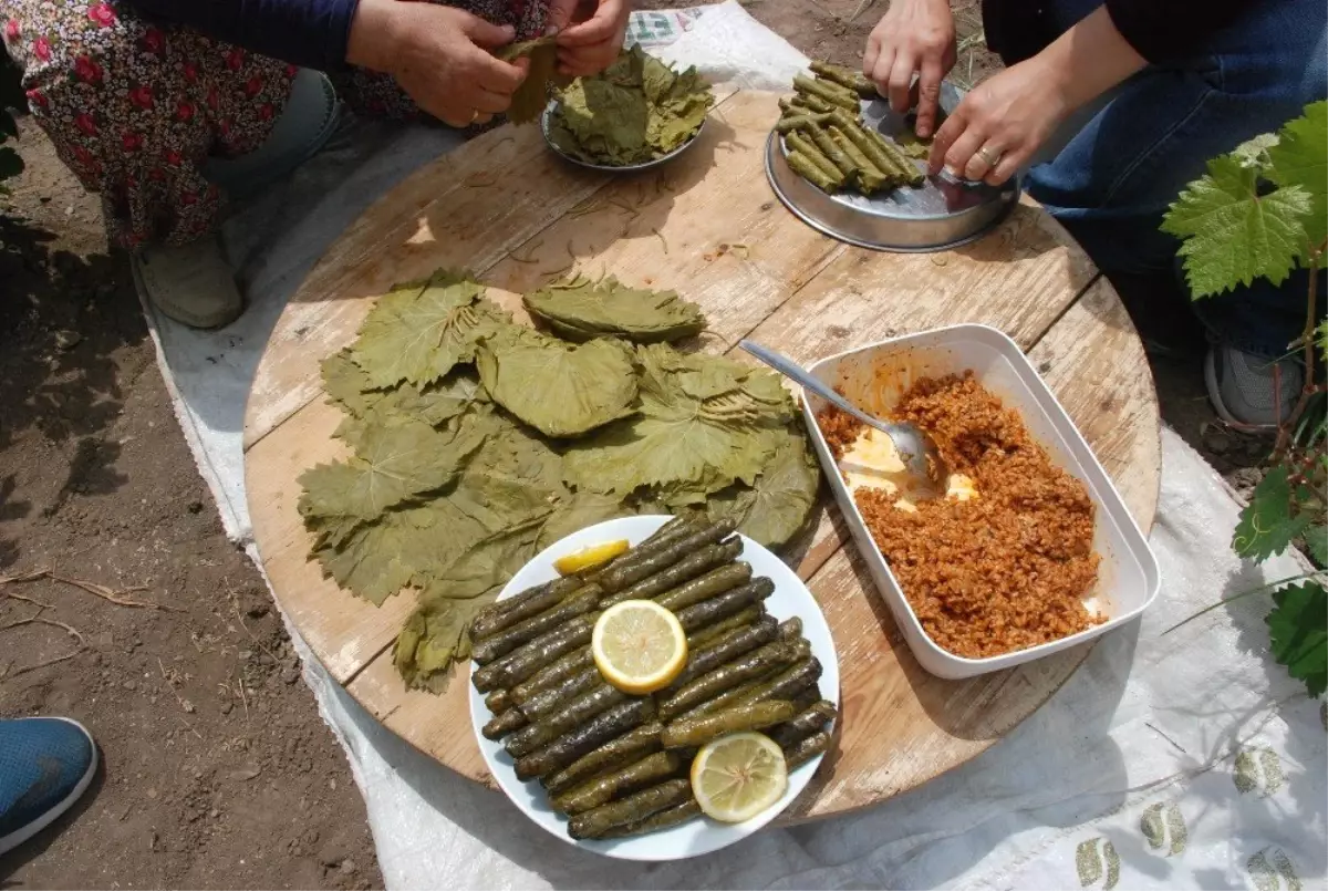 Japonlar Tokat yaprağı yiyecek