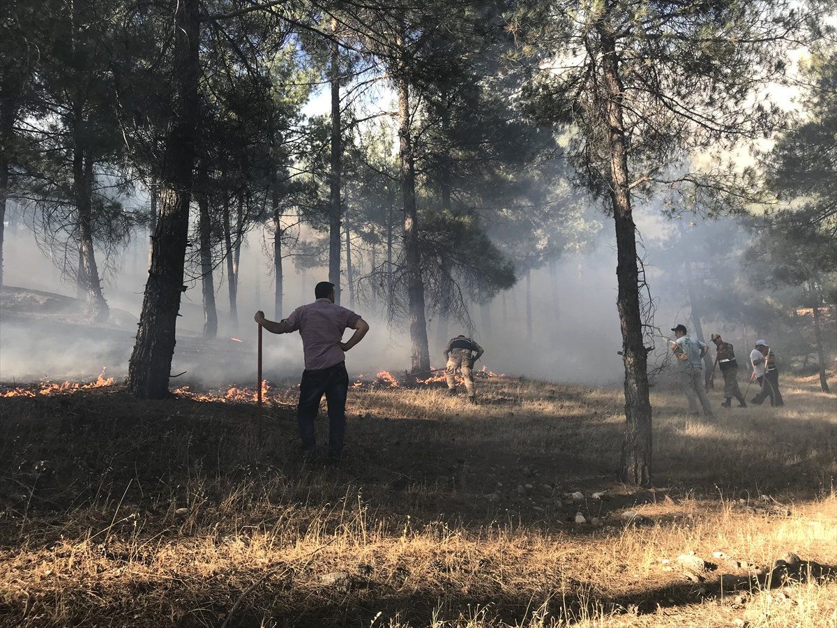 Kahramanmaraş\'ta orman yangını