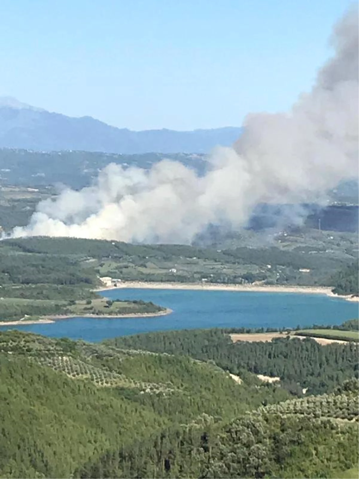 Osmaniye\'de orman yangını (2)