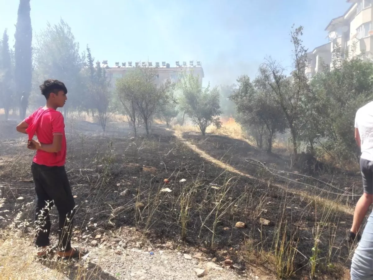 Ot yangını meyve ağaçlarına sıçradı