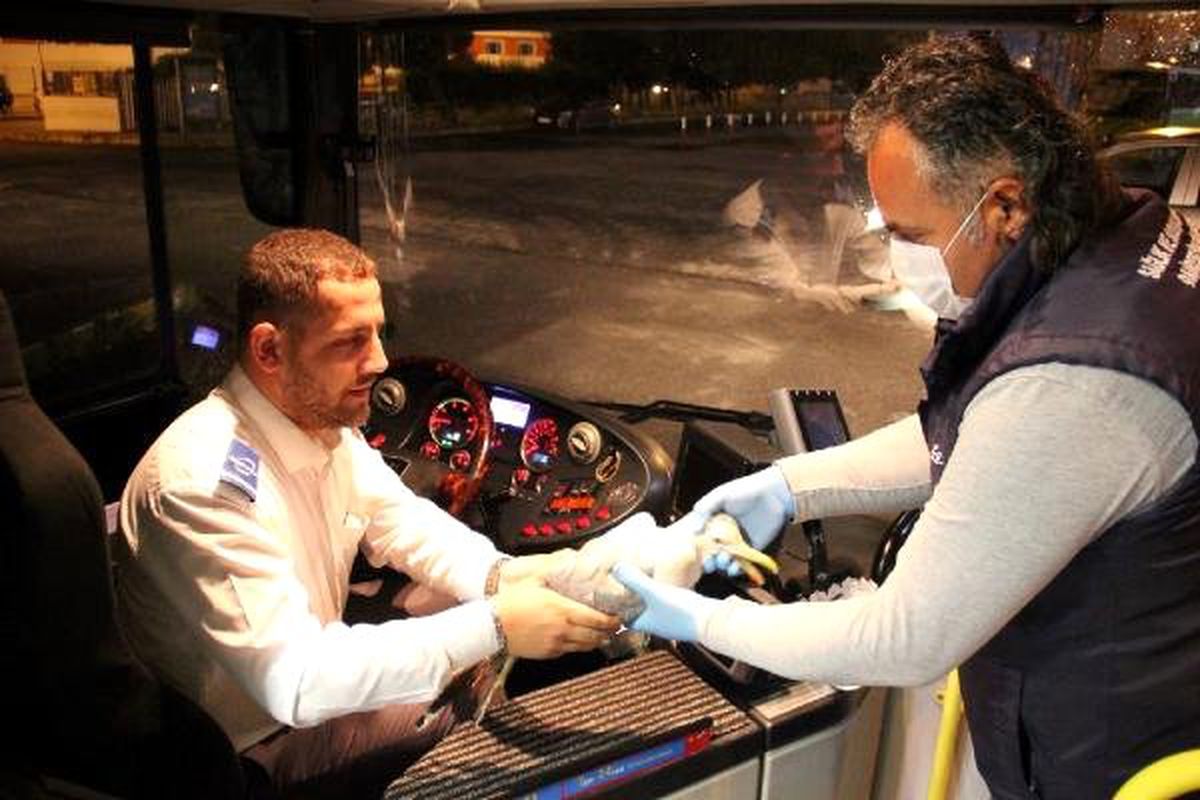 Şoförler, yol üzerindeki 2 yaralı hayvanı kurtardı