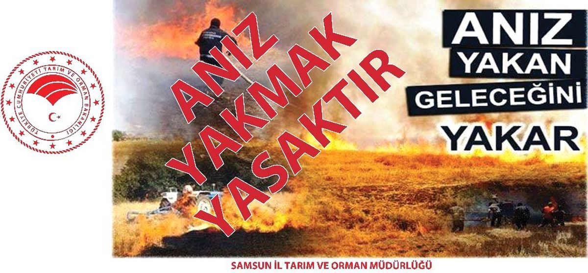 Anız yakanlara her dekar için 60 lira para cezası