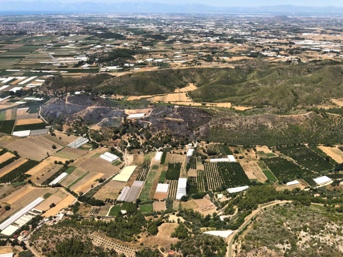 Antalya\'da orman yangını kontrol altına alındı