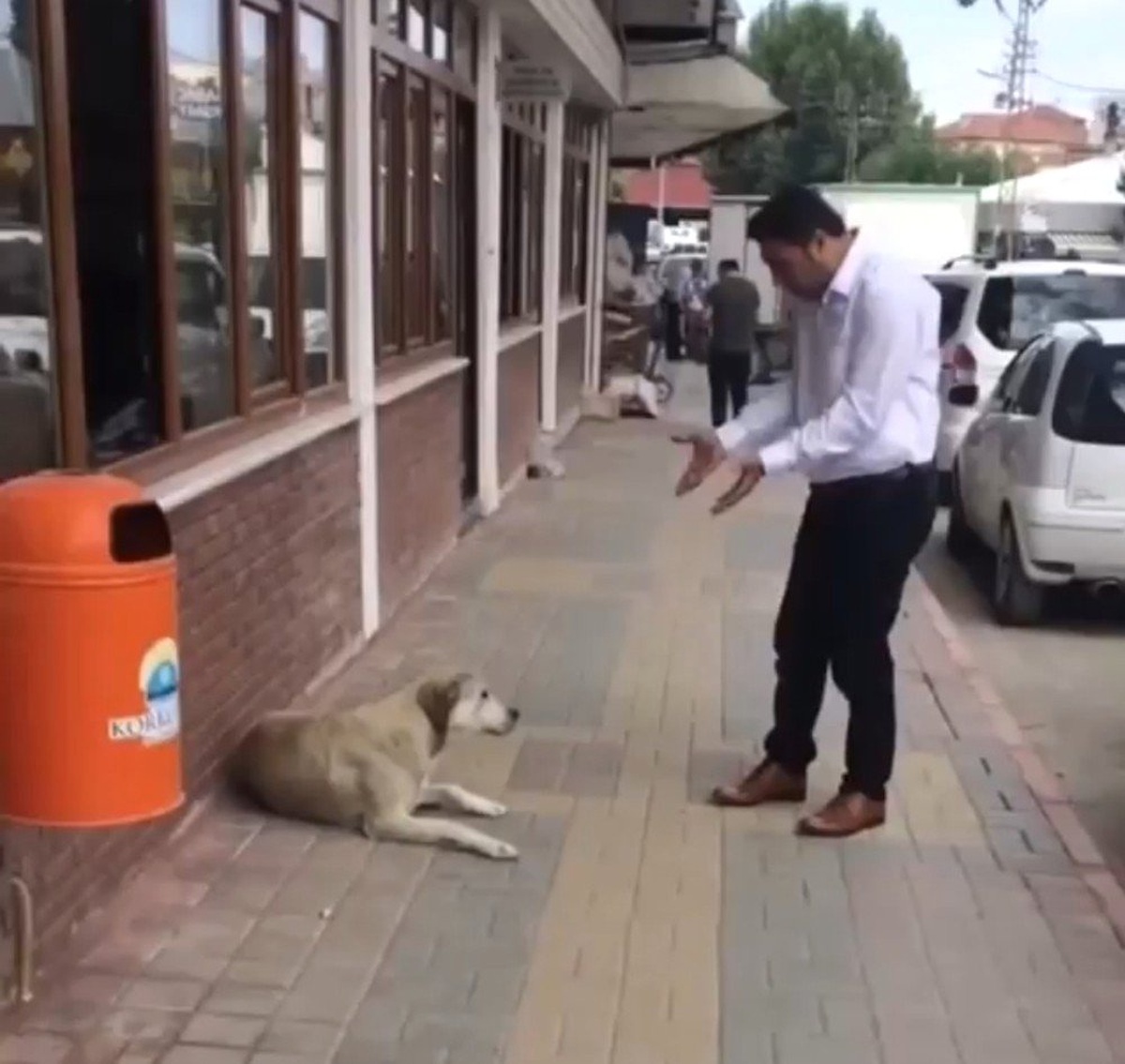 Belediye personelinin nezaketi, sokak köpeğini yerinde etti