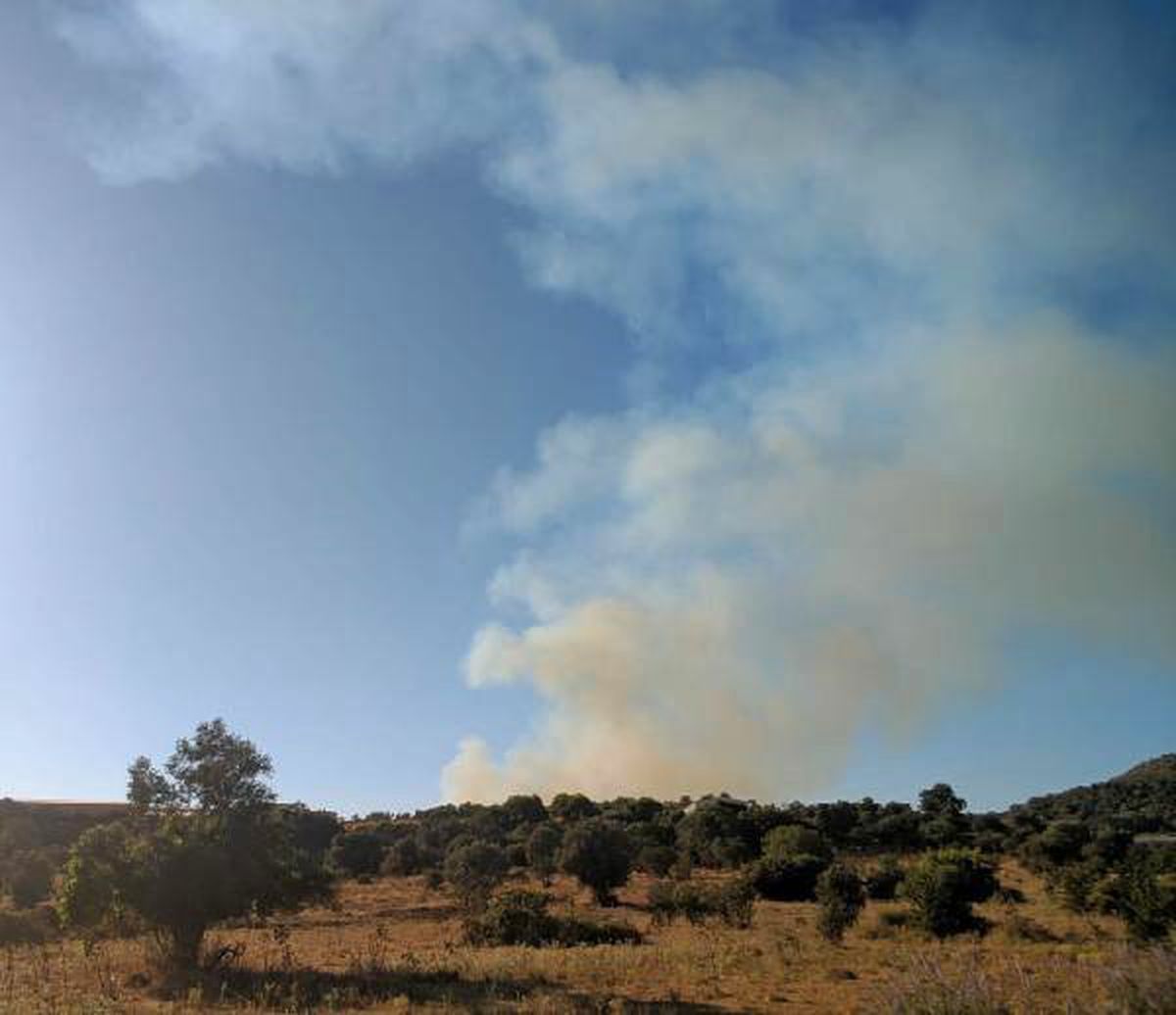 Bodrum\'da otluk alanda yangın (1)