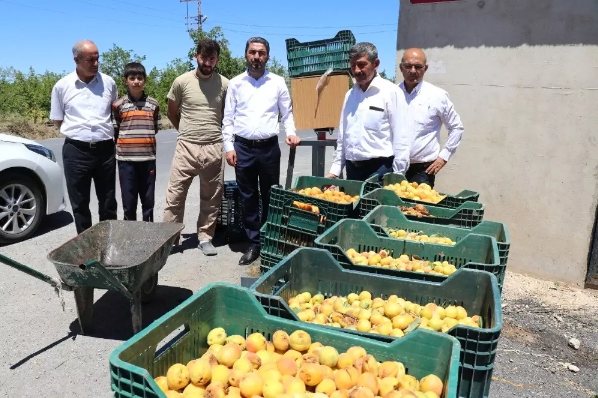 CHP\'li Kiraz\'dan ucuz kayısı fiyatına tepki