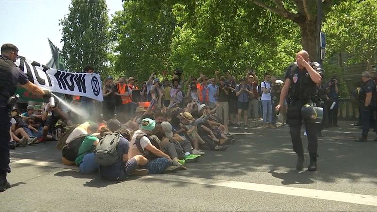 Fransız polisinden çevreci aktivistlere sert müdahale