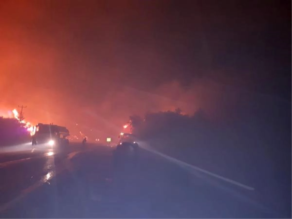 İzmir\'deki orman yangınında alevlerin tehdit ettiği iki otel tahliye edildi (3)- Yeniden