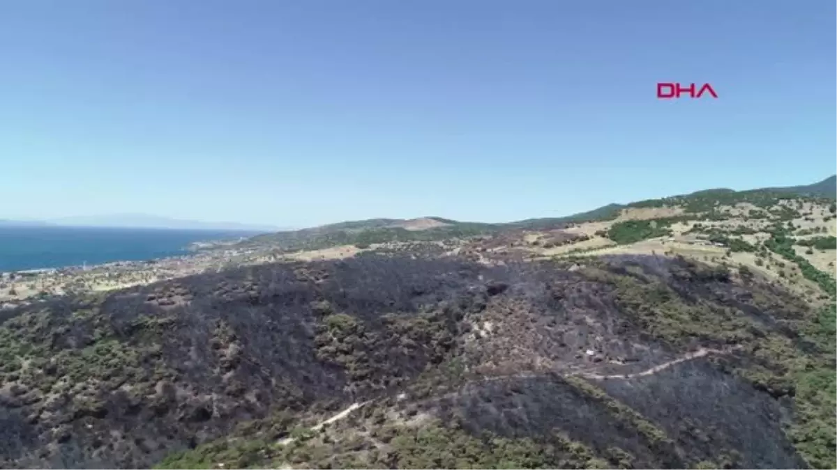 İZMİR Tatil beldesinde yangından geriye kara örtü kaldı