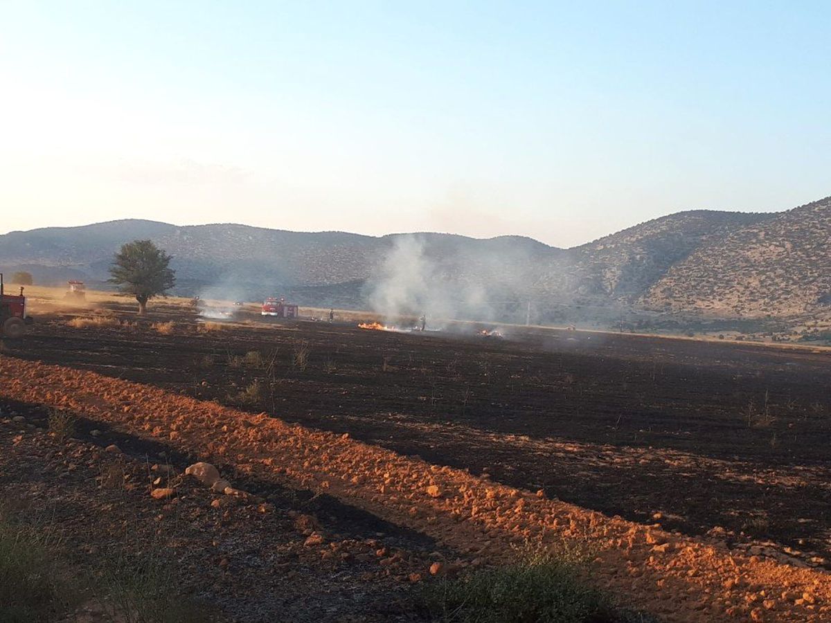 Kargalar 200 dekarlık anız ve ekin yangınına sebep oldu