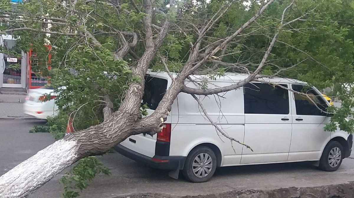 Kars\'ta rüzgar aracın üzerine ağaç devirdi