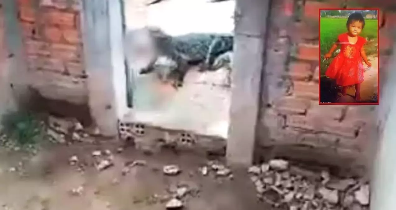 Komboçya\'da 2 yaşındaki kız çocuğu timsahlara yem oldu