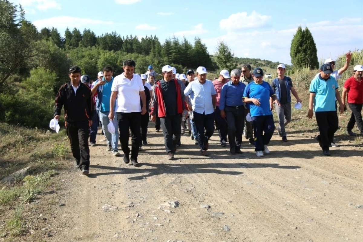 Kuruçay\'da doğa yürüyüşü ve fidan dikimi gerçekleşti