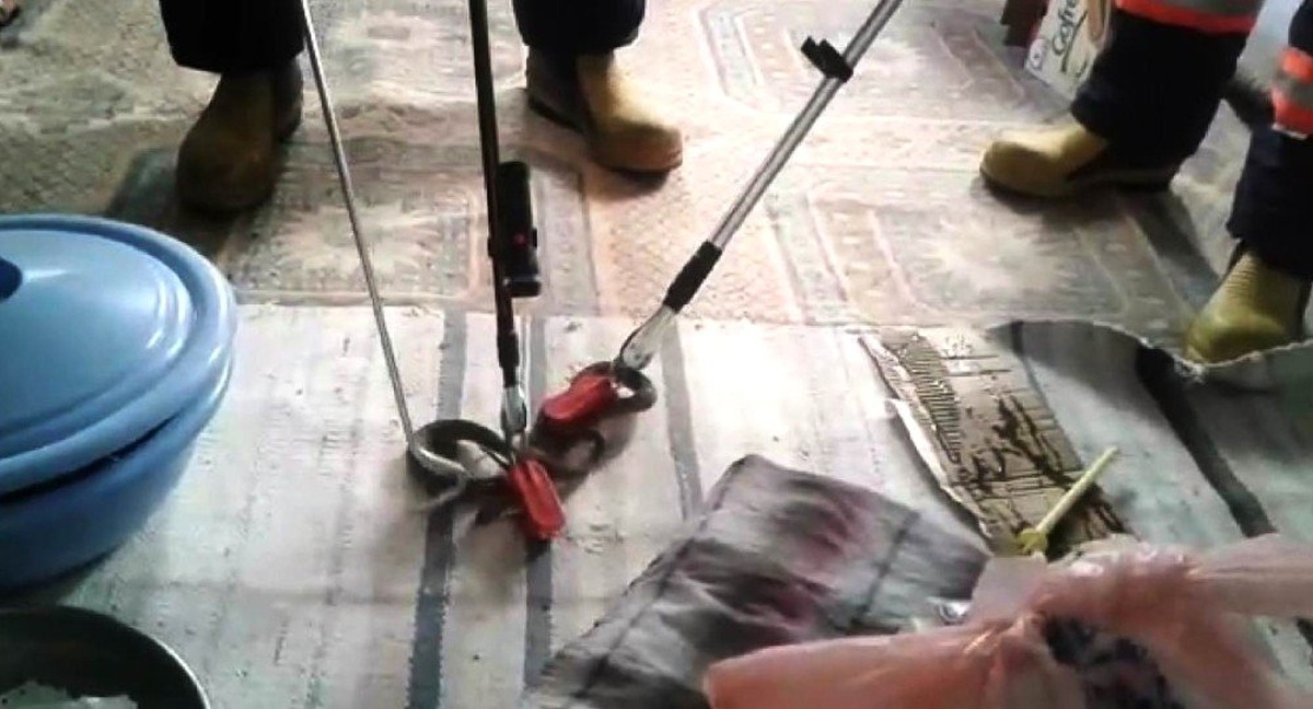 Kuş kafesine giren yılanı itfaiye çıkardı