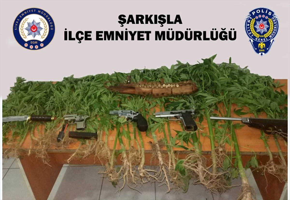 Şarkışla\'da uyuşturucu operasyonu