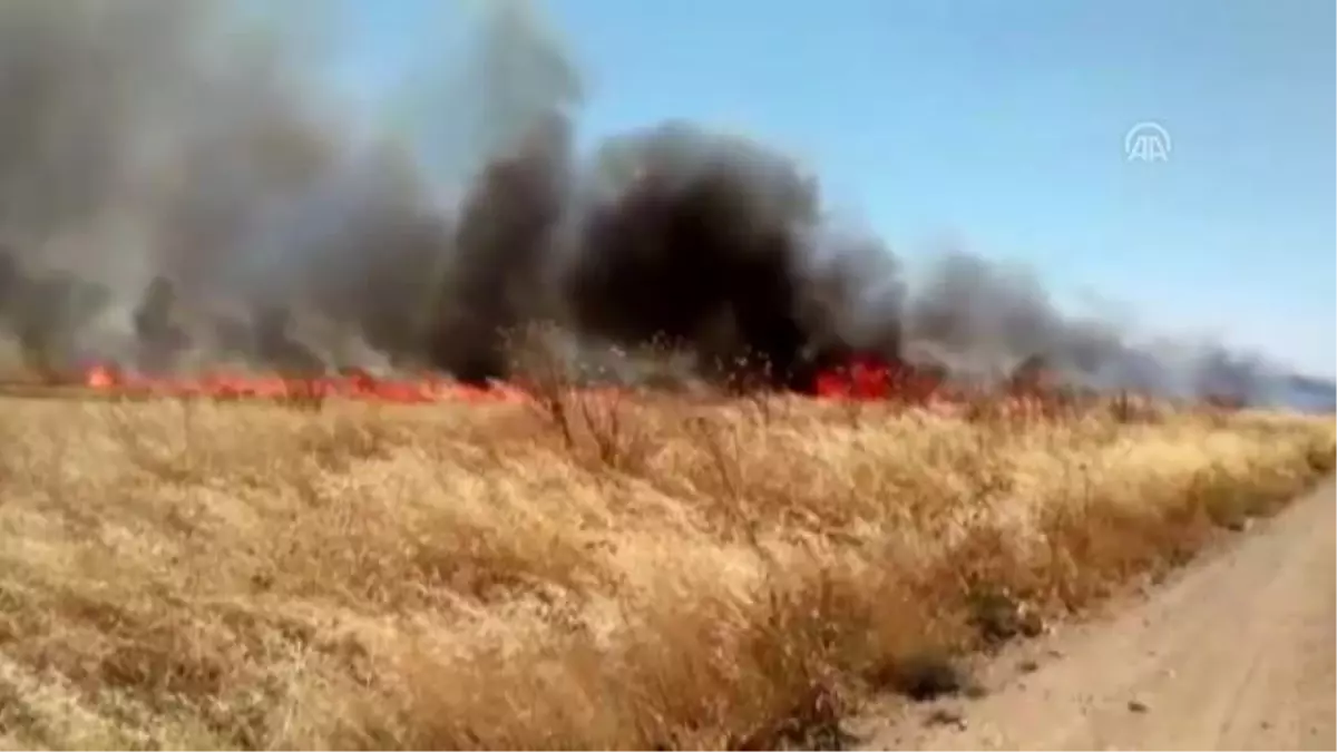 Suriye sınırında yangın