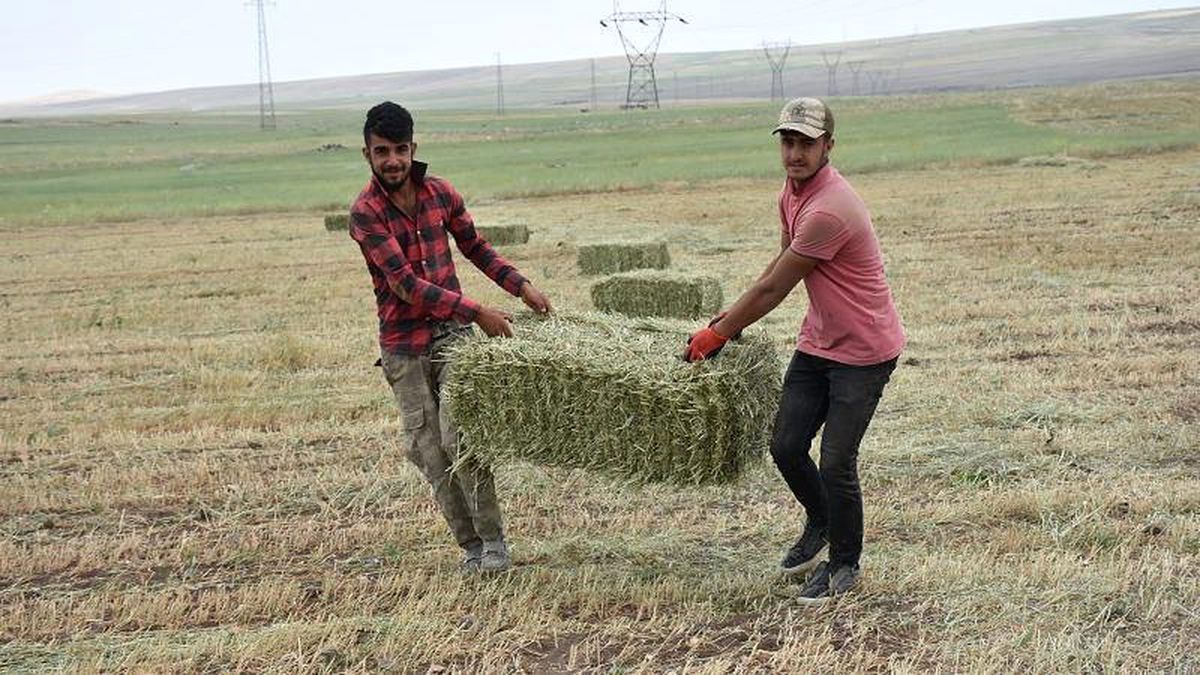 Uluslararası Çalışma Teşkilatı: Küresel ısınma 2030\'da 80 milyon istihdam kaybına yol açacak