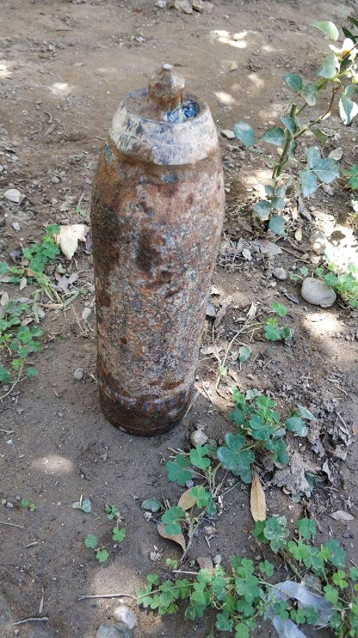 Üzüm bağında patlamamış top mermisi bulundu