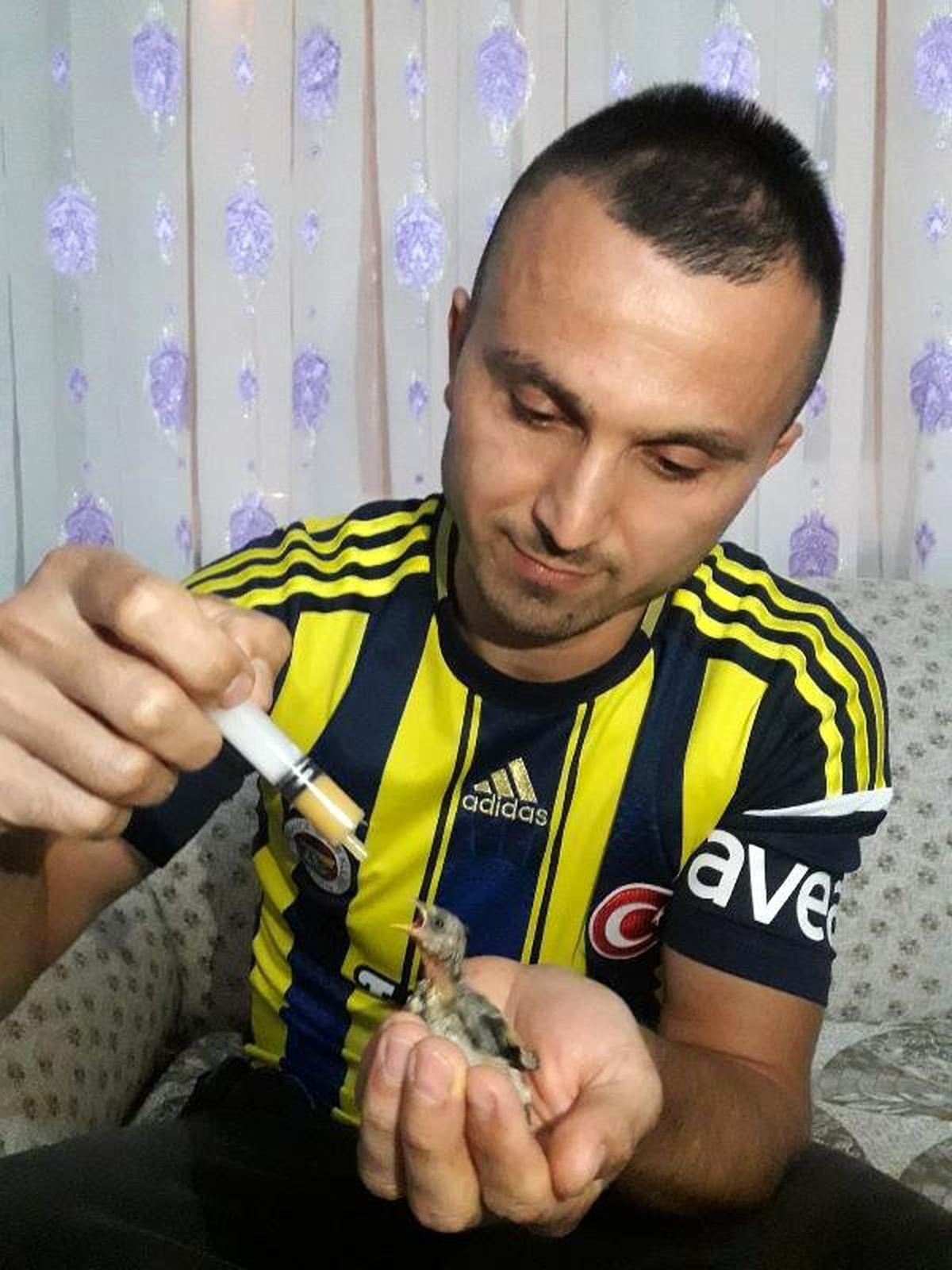 Yavru kuşu şırıngayla besliyor