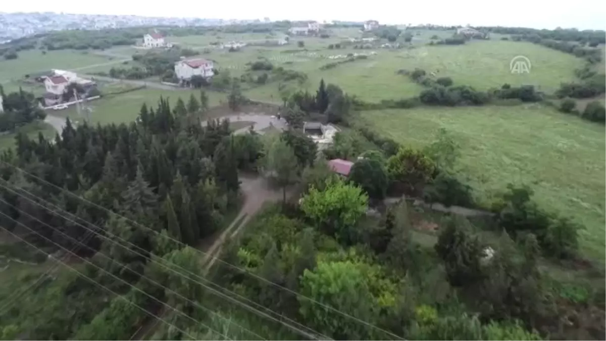 Yıllarca emek verip kıraç alanı "botanik park" yaptı - SAMSUN