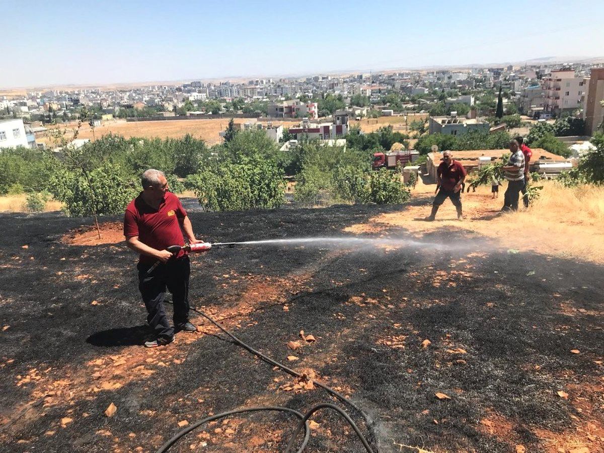 Adıyaman\'da orman yangını
