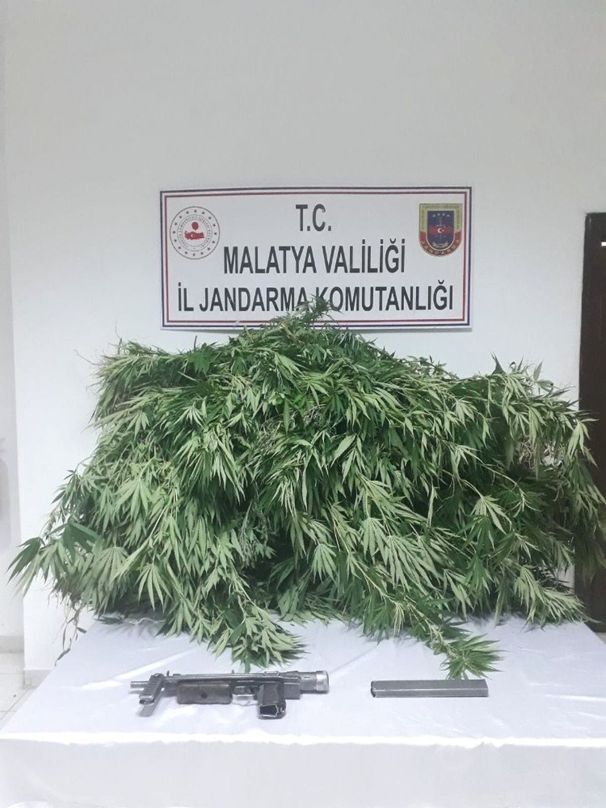 Akçadağ\'da kenevir operasyonu
