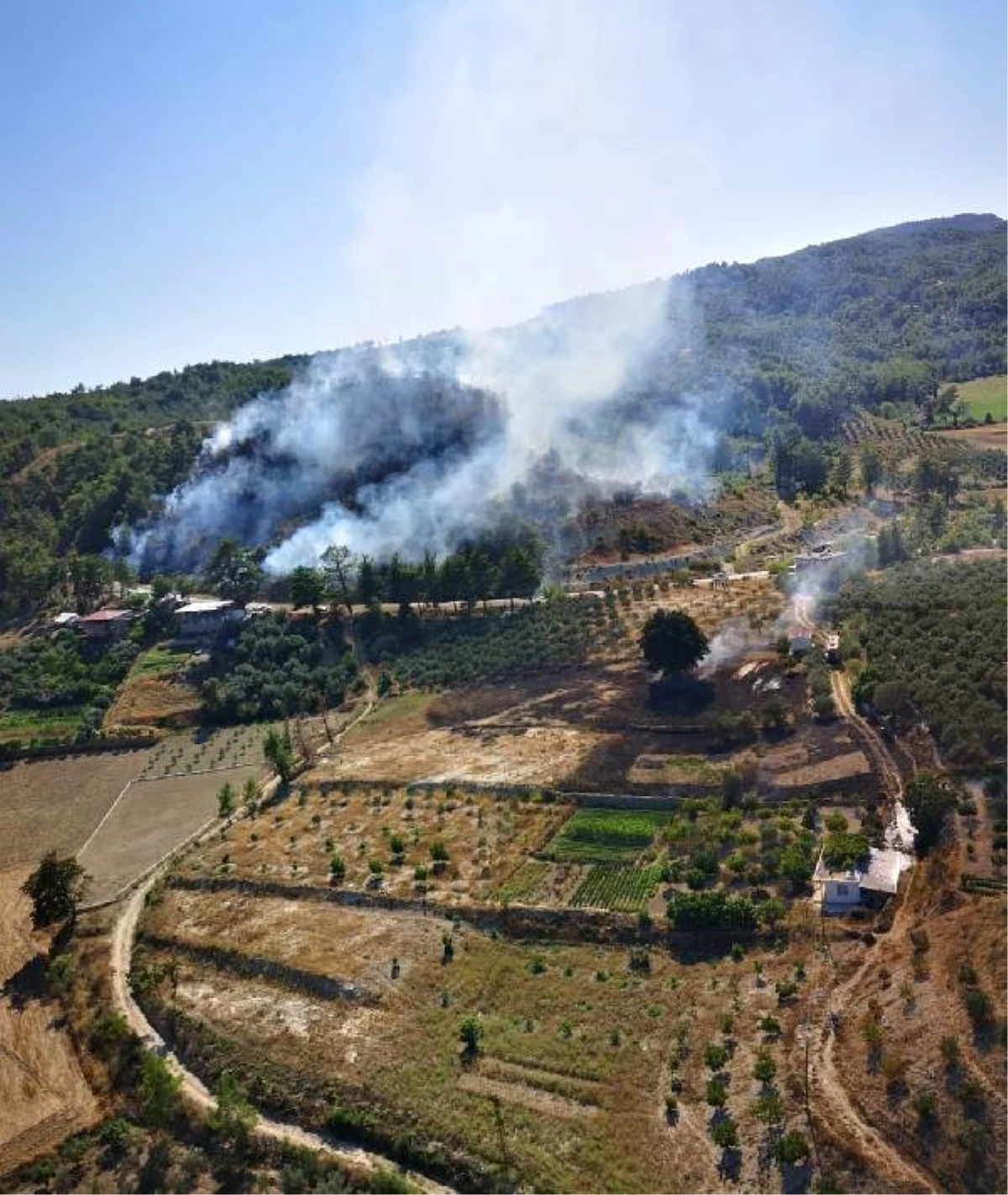 Antalya\'da orman yangını (1)