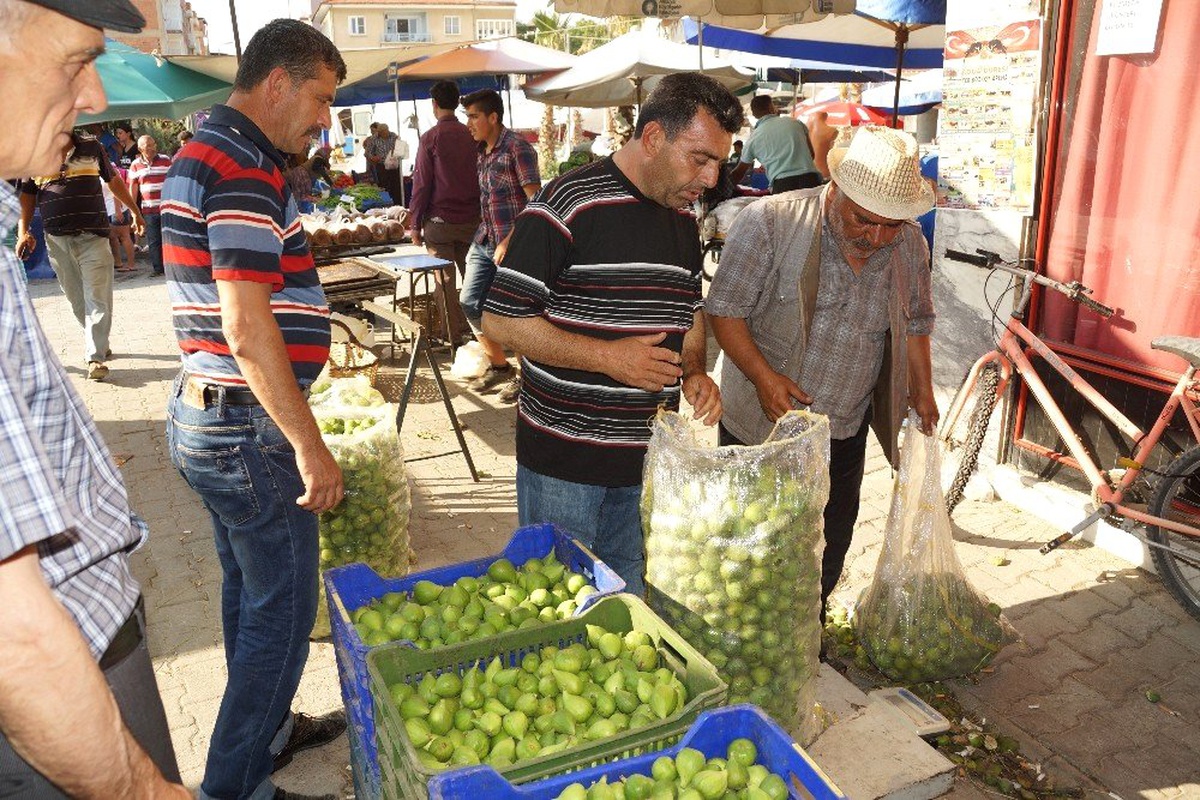 Aydın\'da ilek fiyatları fırladı