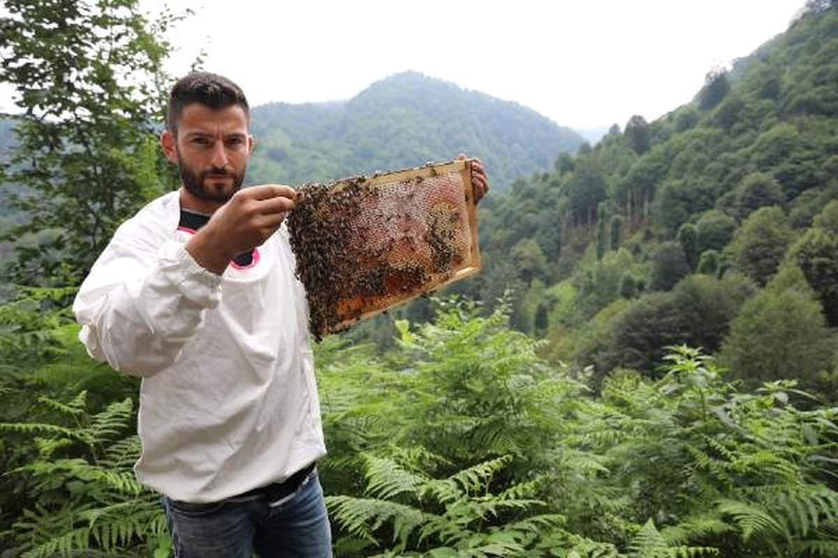 Bal ormanına taş ocağına iptal kararı sevindirdi