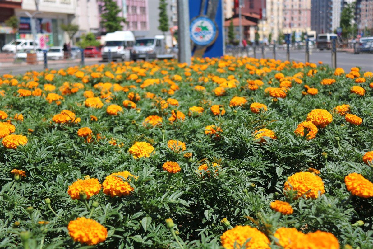 Ereğli Belediyesi\'nin çalışmaları