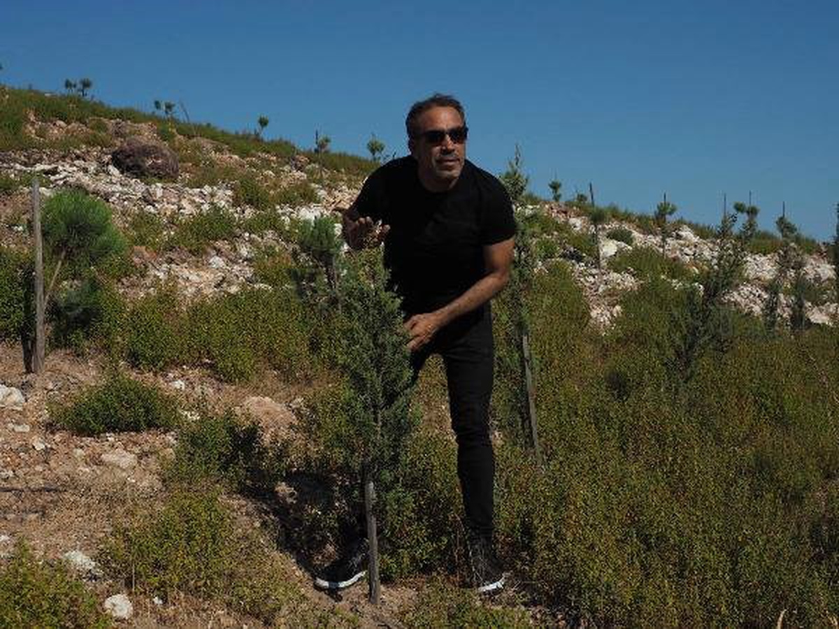 Haluk Levent, diktiği fidanların yanmadığını görünce rahatladı
