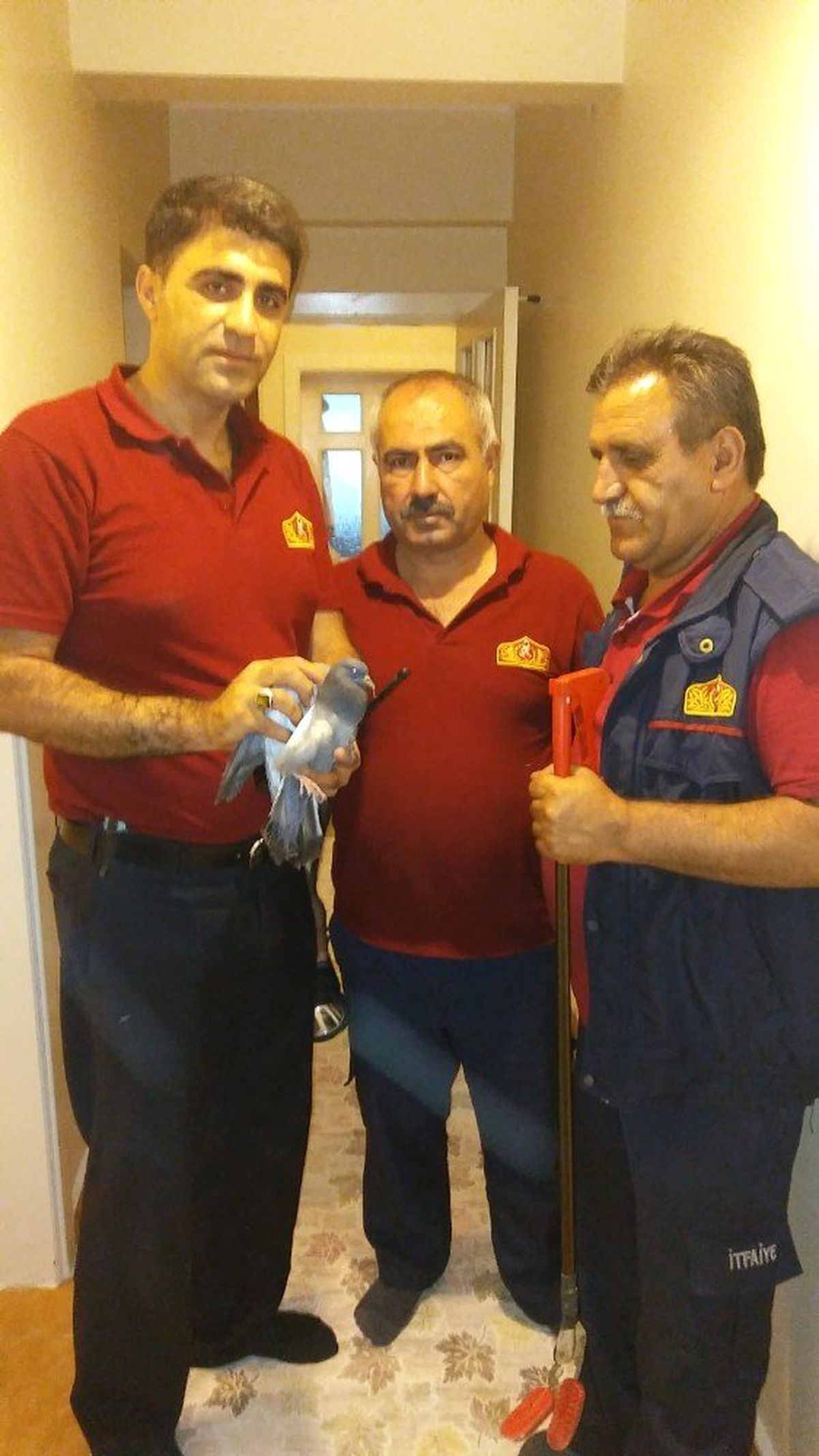 Mahsur kalan güvercini itfaiye ekipleri kurtardı