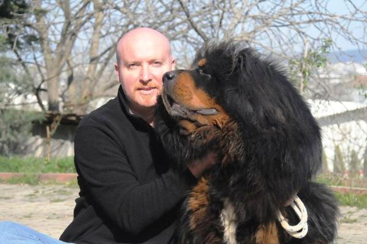 Servet değerindeki köpekleri yetiştirip yurt dışına satıyor