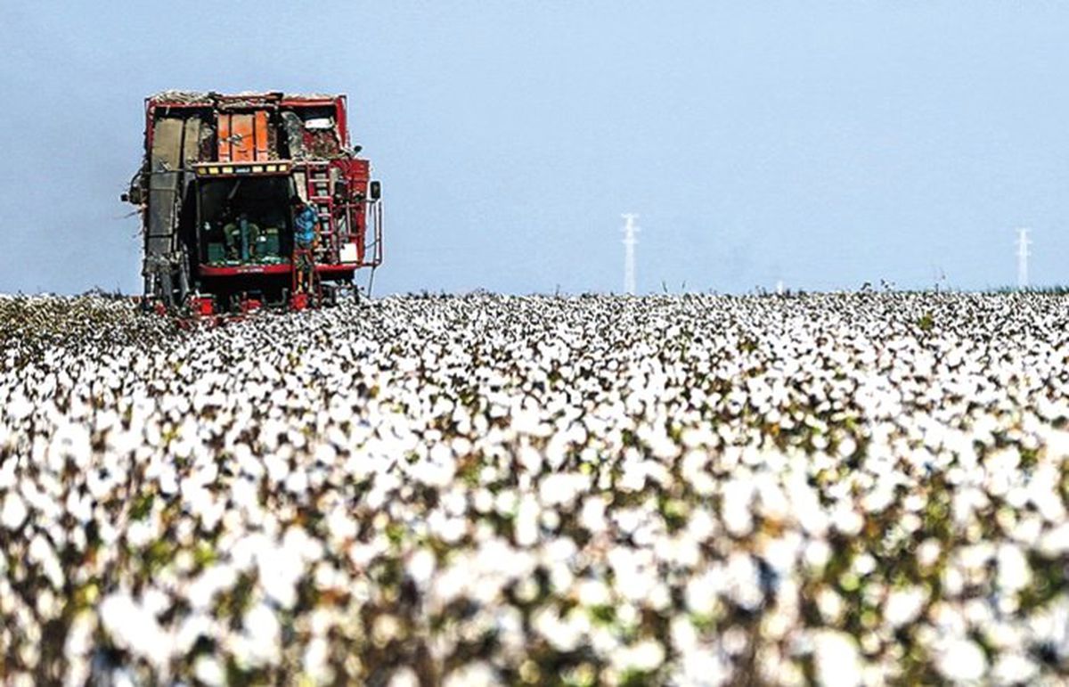 Sudan’da ortak tarım projesi başlamadan sona erdi
