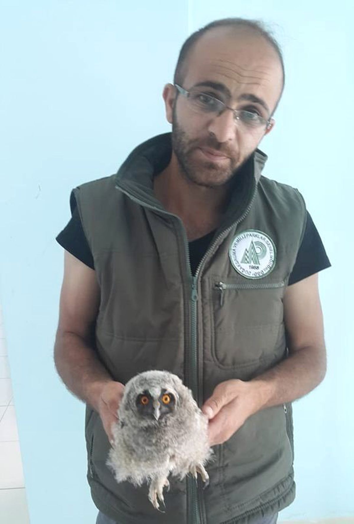 Yaralı kuşlar tedavi altına alındı