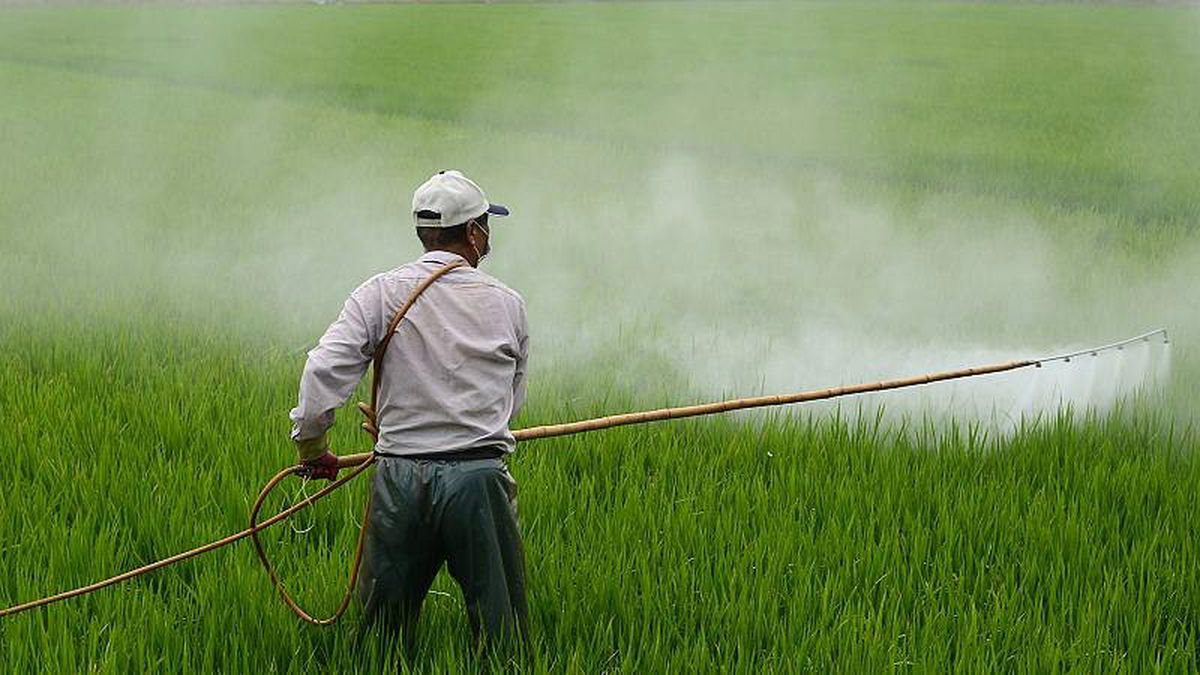 Avusturya tartışmalı tarım ilacı glisofatı yasaklayan ilk AB ülkesi oldu
