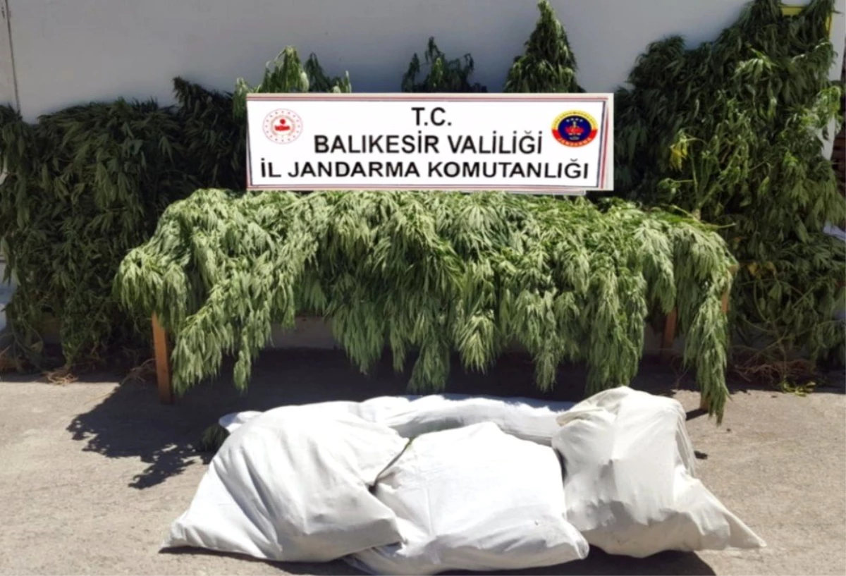 Balıkesir\'de jandarma 23 kilo esrar ele geçirdi