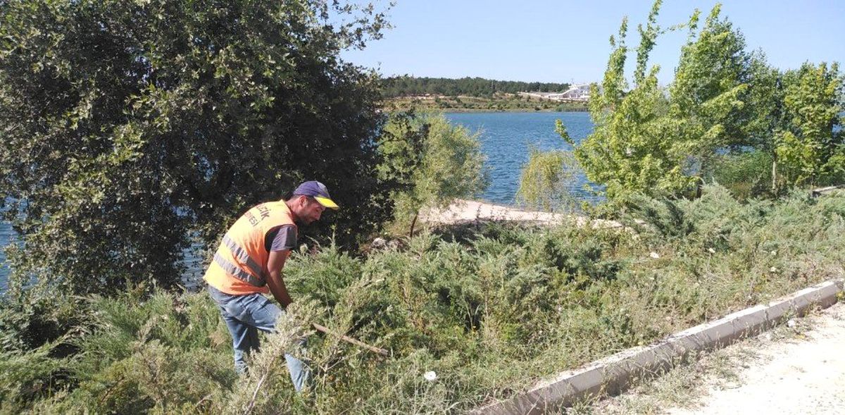 Bilecik Belediyesi tarafından kapsamlı ot temizliği
