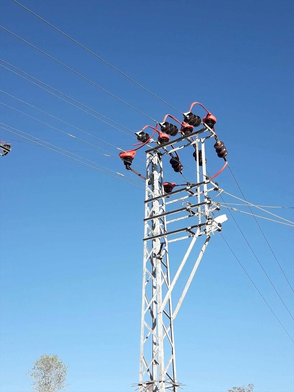 Bitlis\'te elektrik hatlarına kuşkonmaz montajı