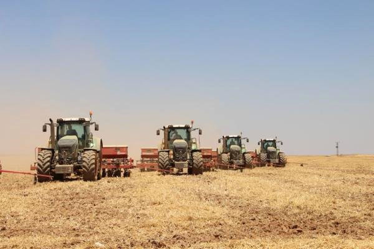 Ceylanpınar\'da 110 bin dekarlık alanda mısır ekimi başladı
