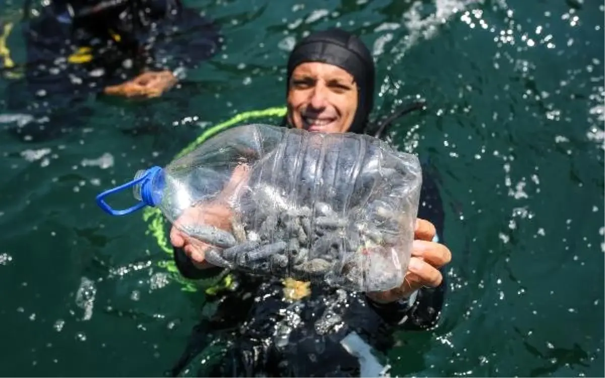 Falezlerde deniz dibinde kurşun tehdidi