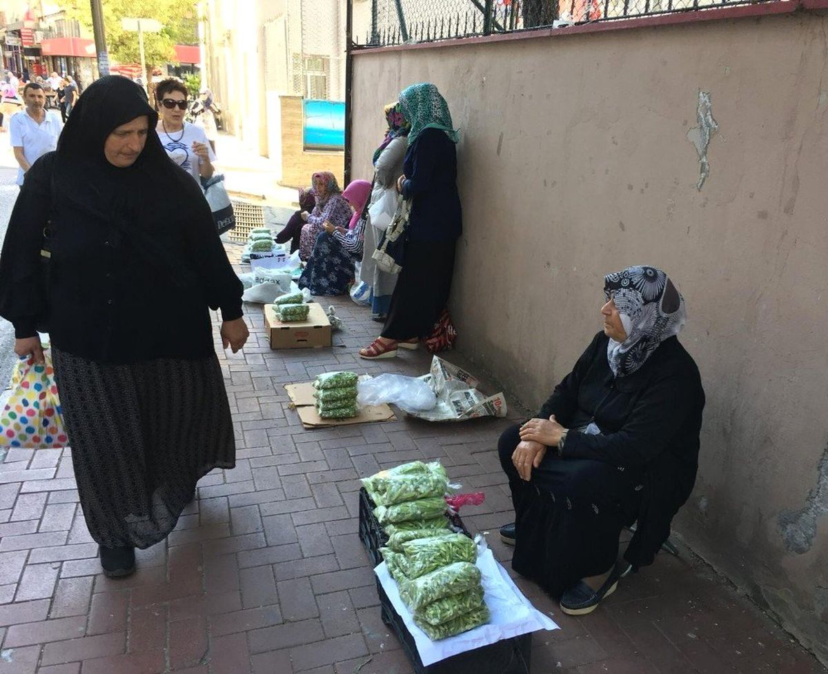 Fazla yağmur gören bamya, üreticiyi memnun etmedi