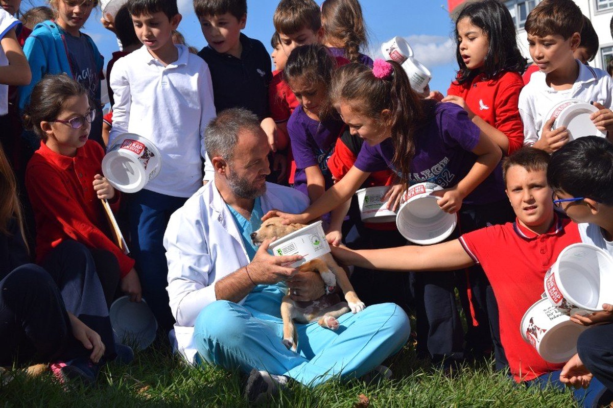 Osmangazi\'de binlerce sokak hayvanı sağlığına kavuştu