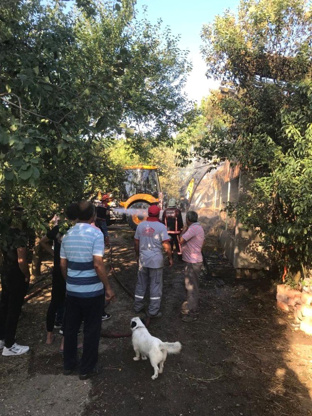 Sakarya\'daki samanlık yangını büyümeden söndürüldü
