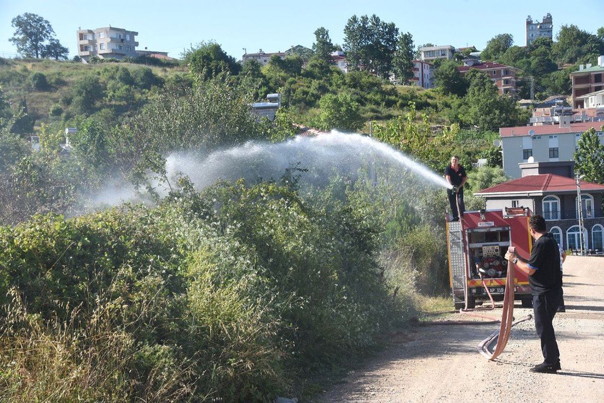 Sinop\'ta ot yangını