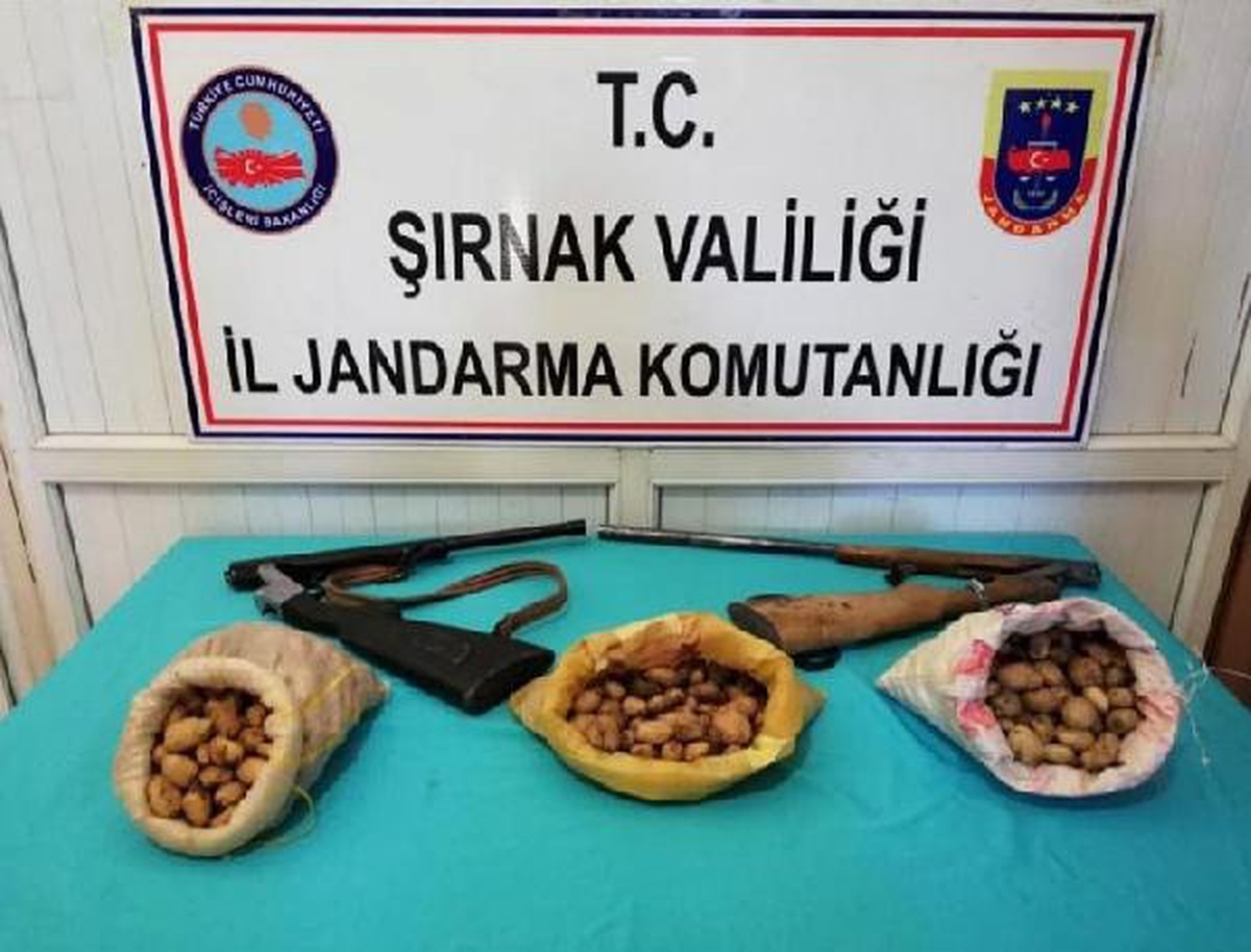 Şırnak\'ta salep soğanı toplayan 3 kişiye 204 bin para cezası