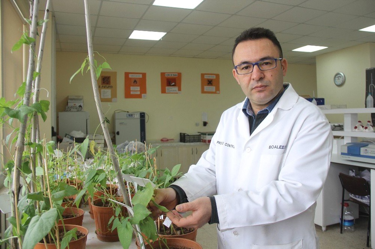 Sivas\'ta "altın yumurtlayan tavuk" jeotermal seracılık