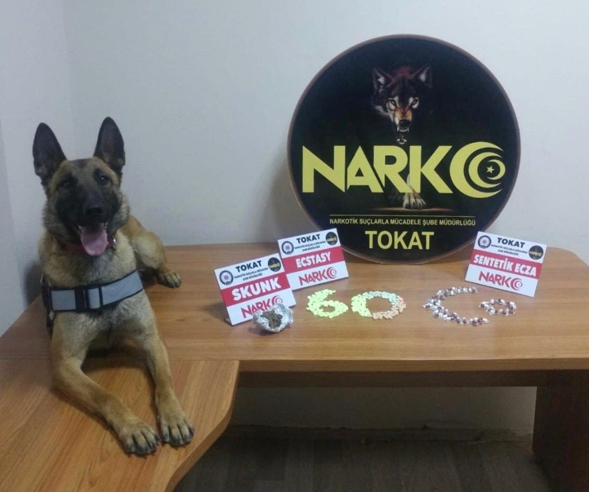Tokat\'ta uyuşturucu operasyonu: 2 tutuklama